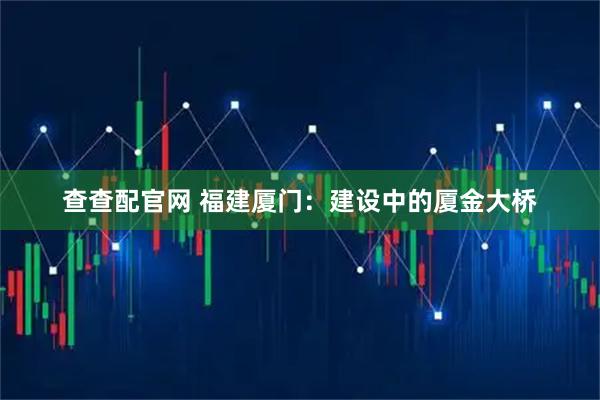 查查配官网 福建厦门：建设中的厦金大桥